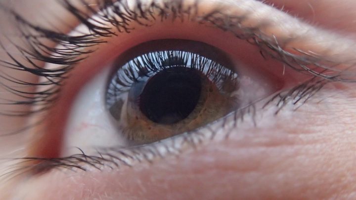 Glaucoma: ¿Cómo prevenir la primera causa de ceguera en el mundo?