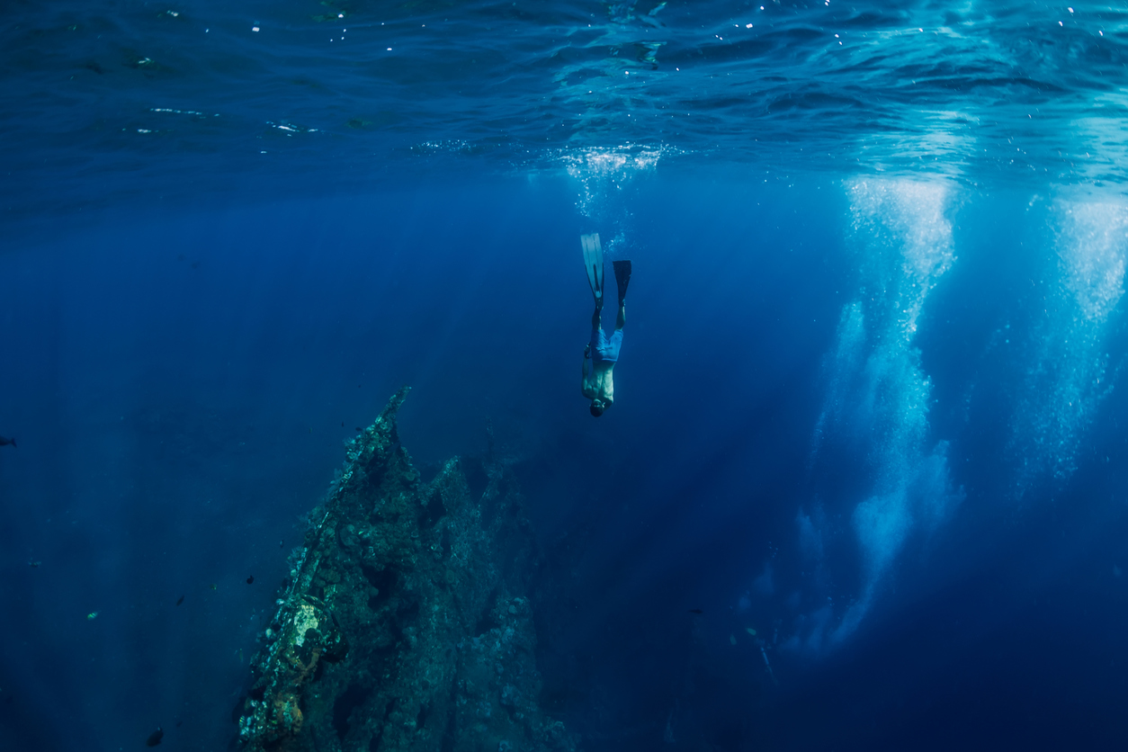 Para que los niños se sumerjan en los misterios del mar