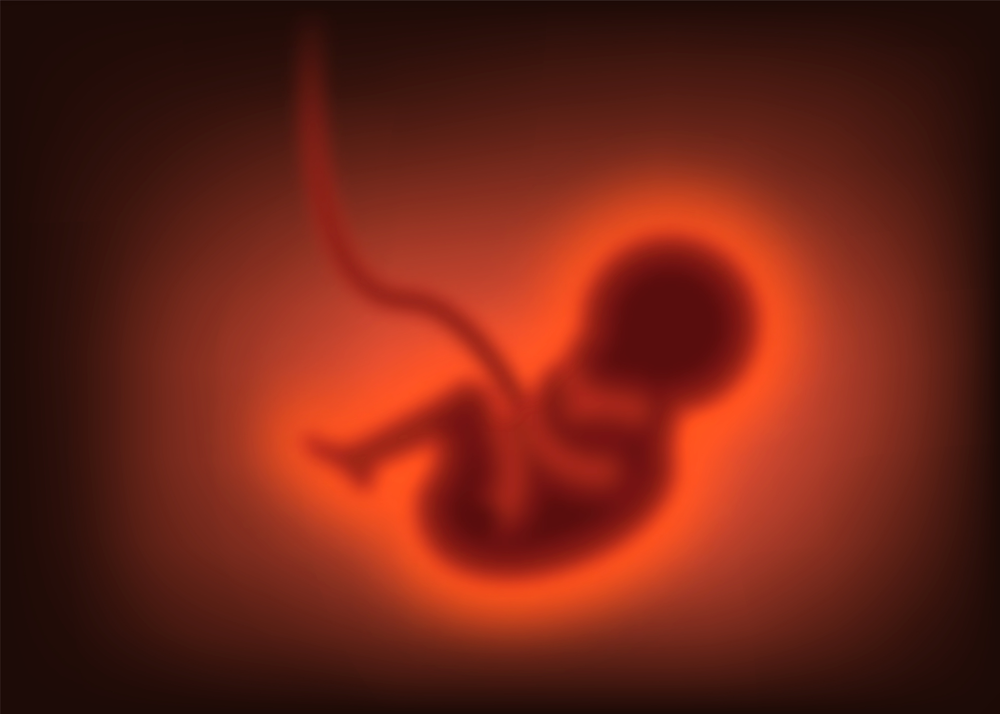Crean por primera vez embriones humanos sintéticos