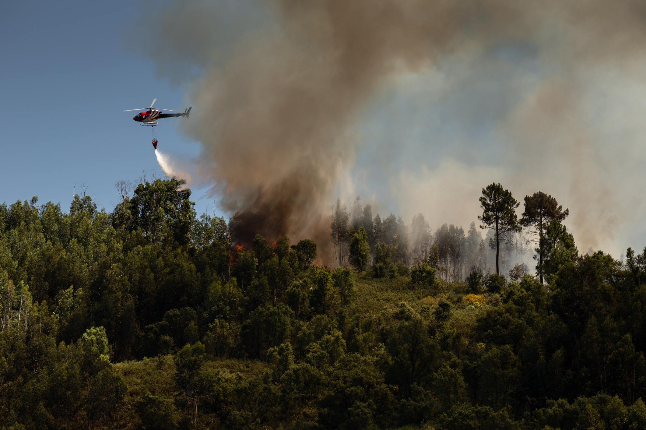 Incendios forestales: ¿qué esperar para este verano?