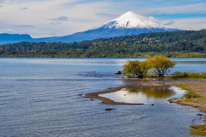 Nuevo método detecta algas tóxicas en lago Villarica