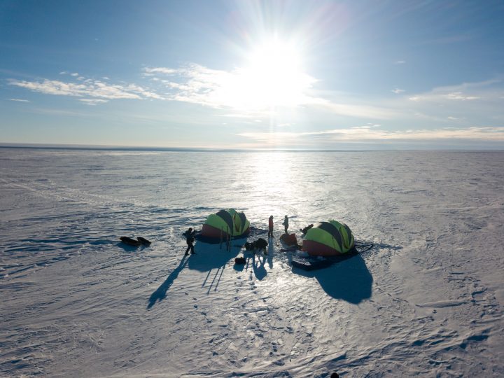 El boom de publicaciones chilenas sobre Antártica