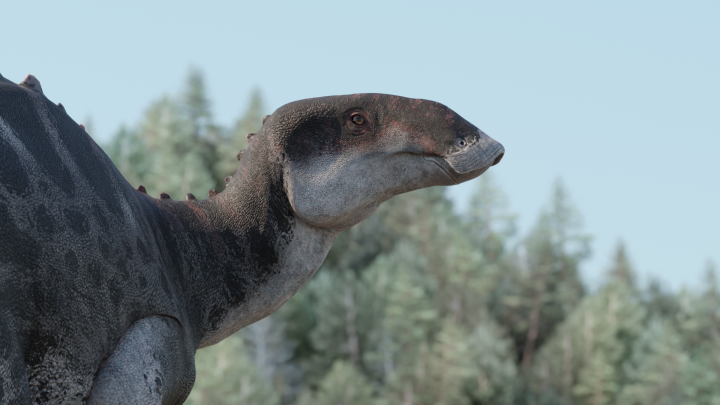 Descubren un nuevo dinosaurio que vivió en Chile