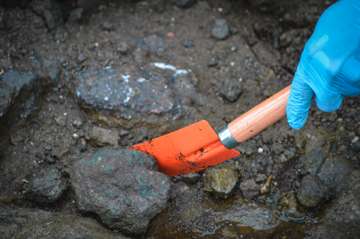 Cobre, el inusual “alimento” de los suelos antárticos