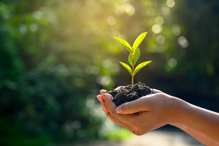 Informe País alerta por daño medioambiental