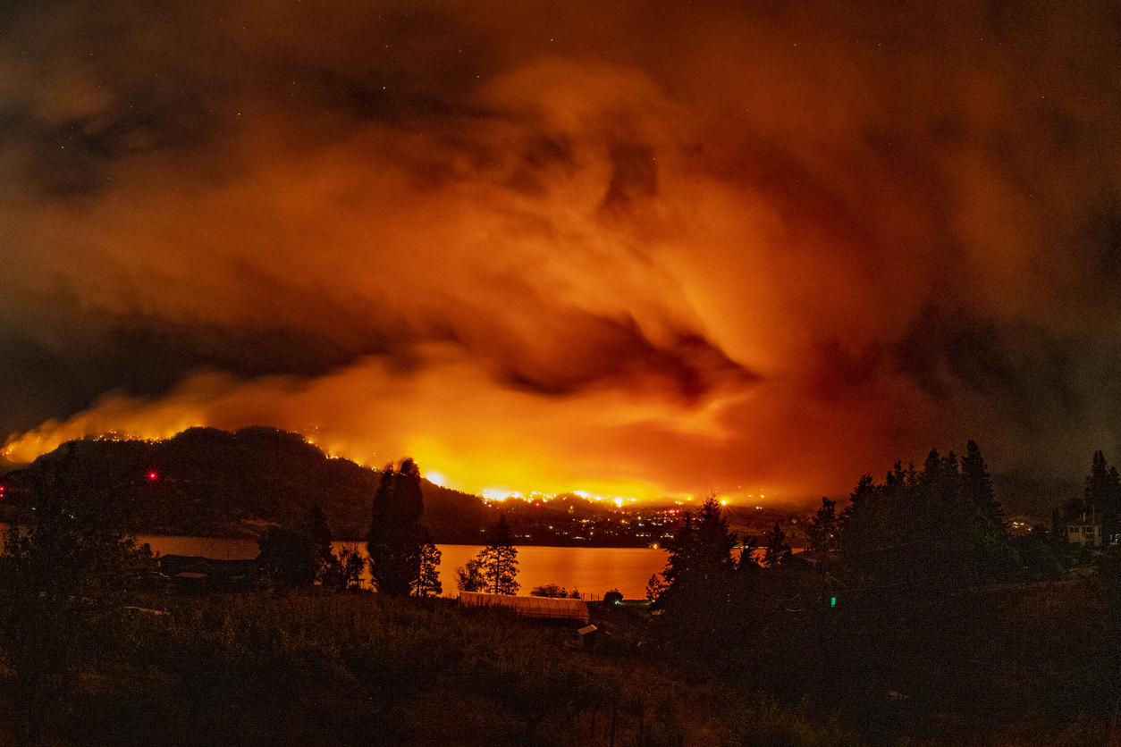 Estudio plantea gestión justa por efectos de incendios