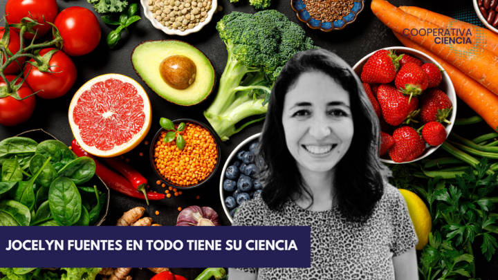 ¿Qué son los antioxidantes?