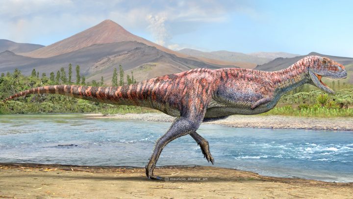 De brazos cortos y carnívoro: El dinosaurio que habitó Chile