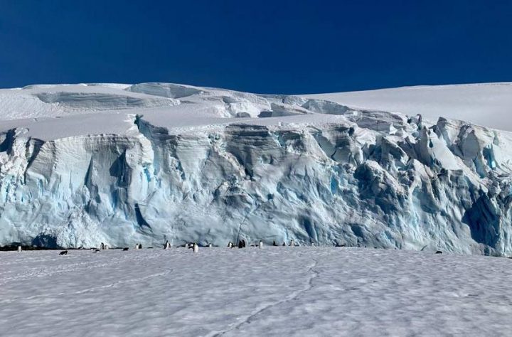 Registran caída de contaminantes atmosférico en la Antártica