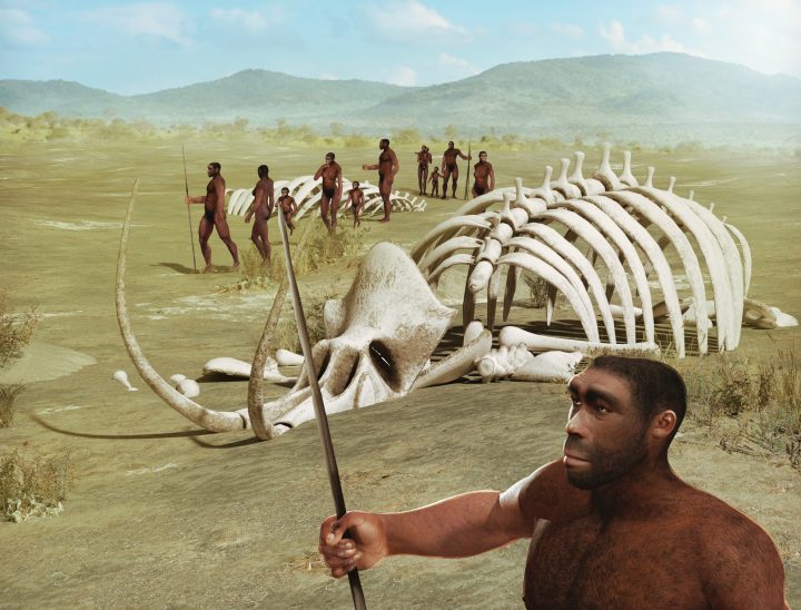 Ancestros humanos del Pleistoceno estuvieron cerca de la extinción