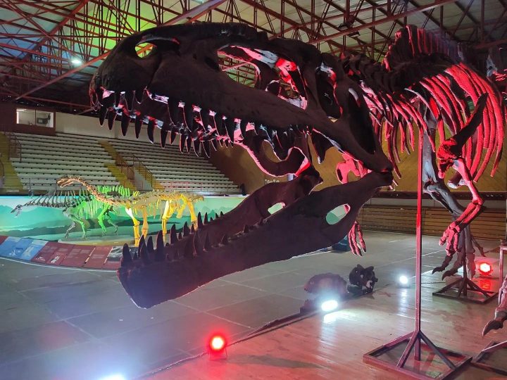 Exhibición gratuita de dinosaurios llegará a Talcahuano