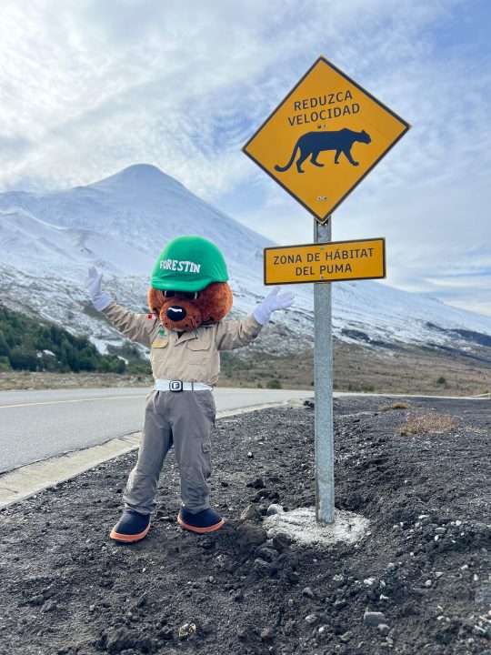 Señalización "Zona de hábitat de puma" Puente Vicente Pérez Rosales