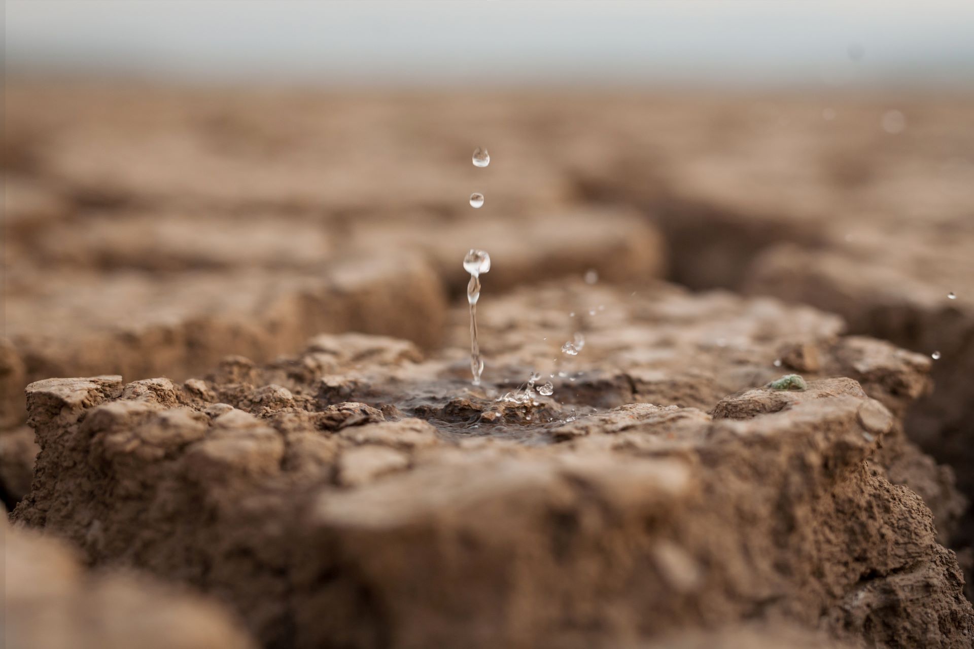 Un software para la gestión del agua en Atacama