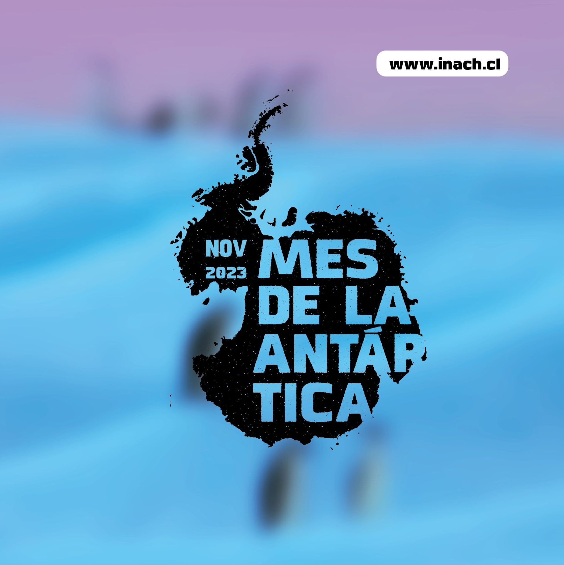 Se inicia la celebración del Mes de la Antártica Chilena