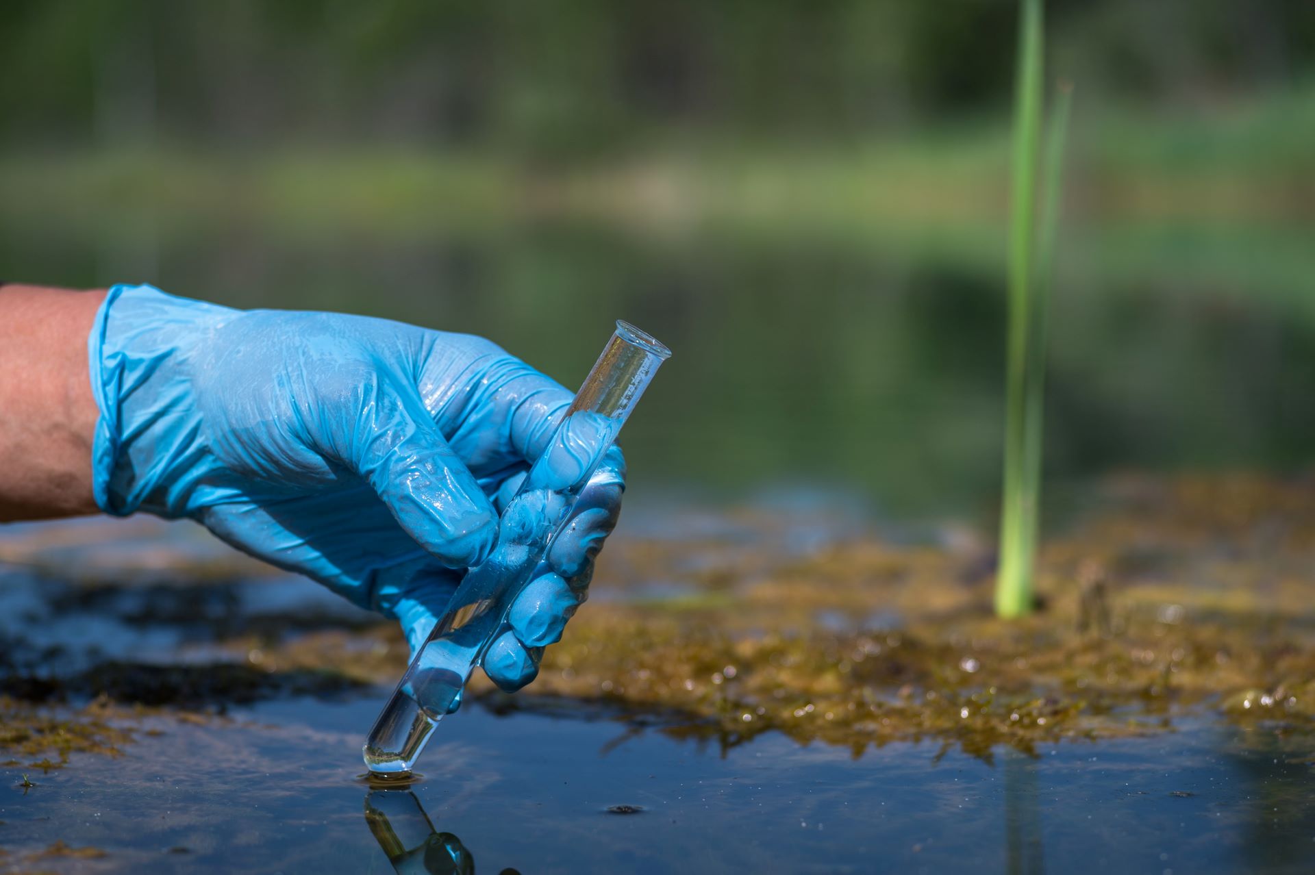 Crean en Chile material polimérico para descontaminar el agua