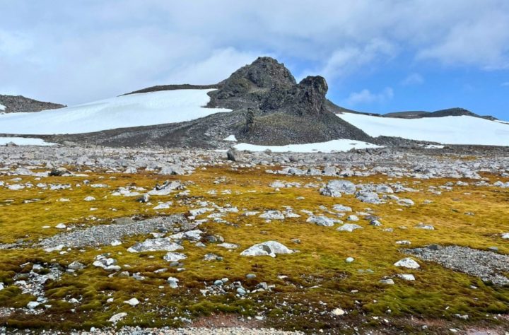 Contaminantes riesgosos fueron hallados en la Antártica