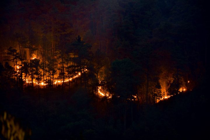 Estudios que explican la ocurrencia de grandes incendios