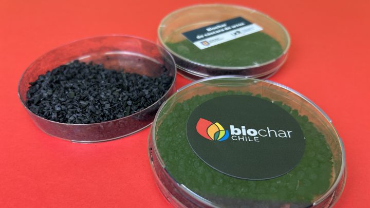 UdeC y Corfo lanzan programa que transforma residuos agrícolas en biochar