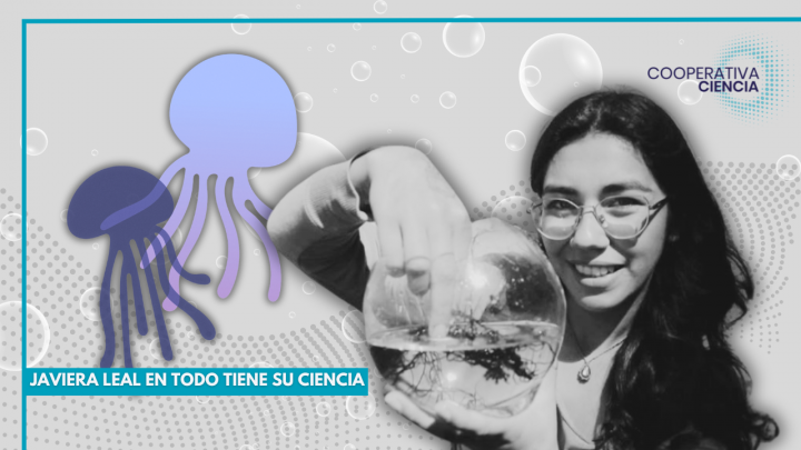 Javiera Leal: La estudiante que observa el fascinante mundo de las medusas