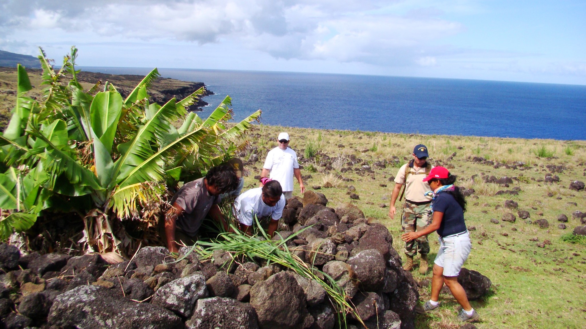 “Jardín Demostrativo Manavai”: proyecto de conservación en Rapa Nui