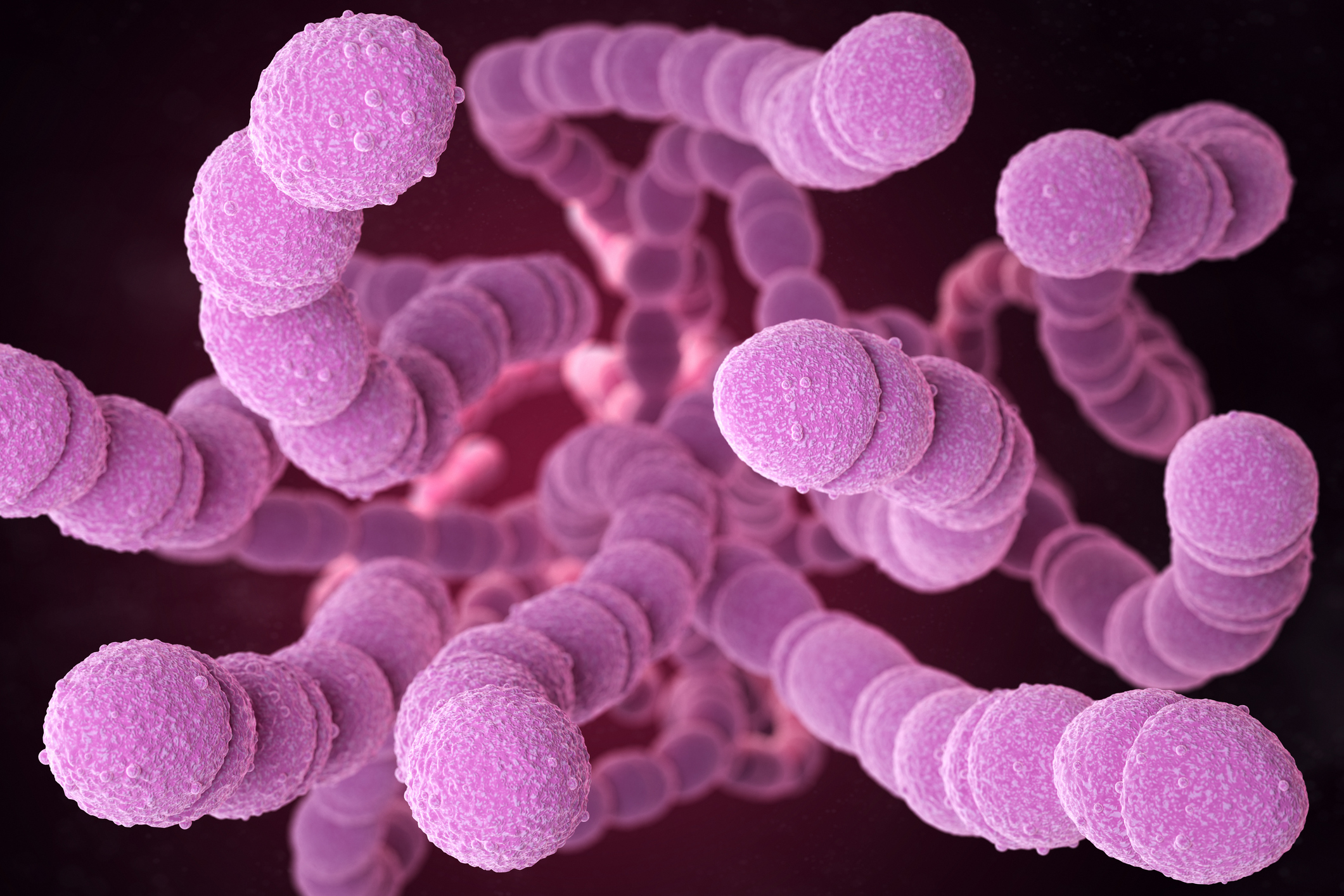 ¿Qué produce la bacteria Streptococcus pyogenes?