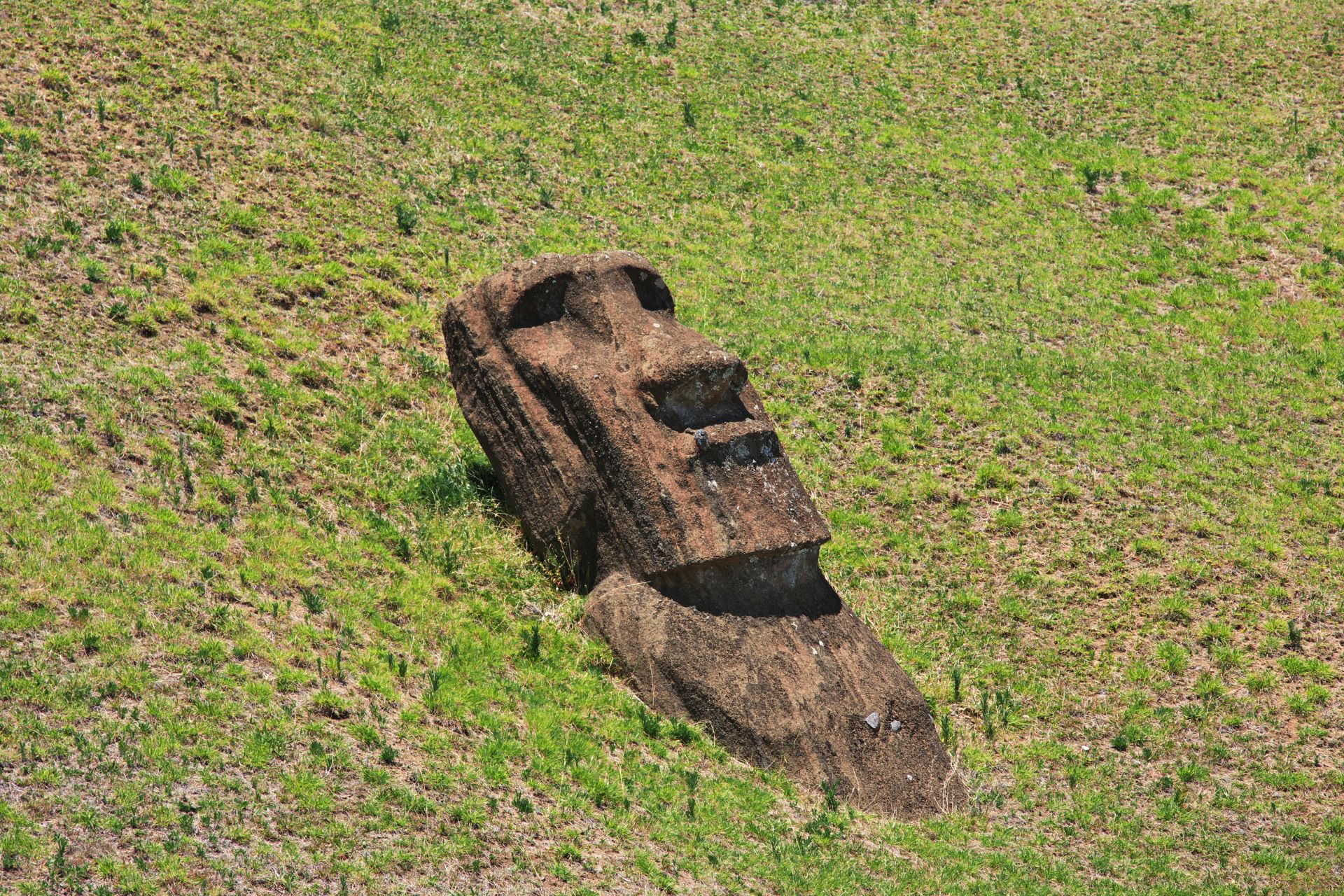 Nuevo estudio descarta el ecocidio y superpoblación en Rapa Nui