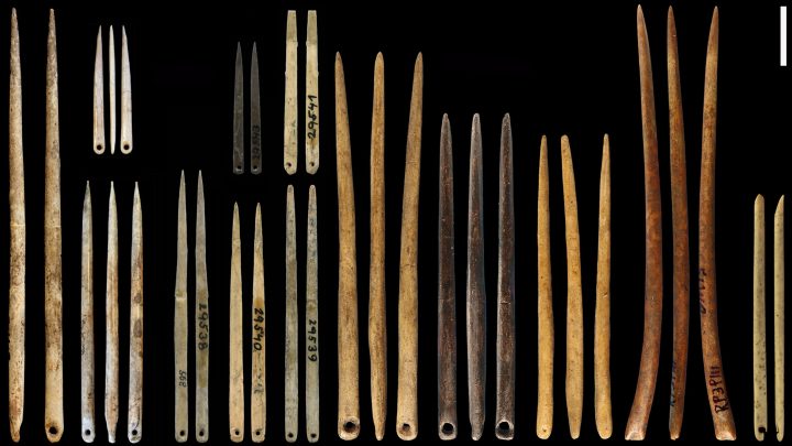La aguja de coser marcó la evolución de la ropa en el paleolítico