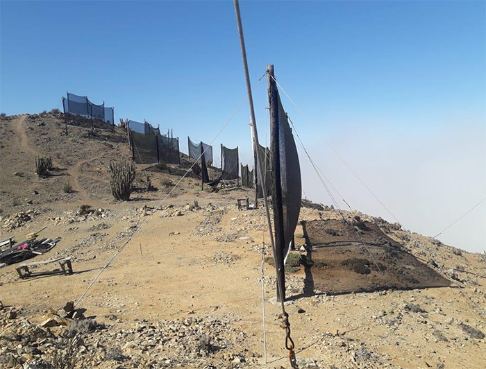 Atrapanieblas ubicados en la cumbre de Falda Verde. (Crédito fotográfico: Agrupación de Atrapanieblas de Atacama)