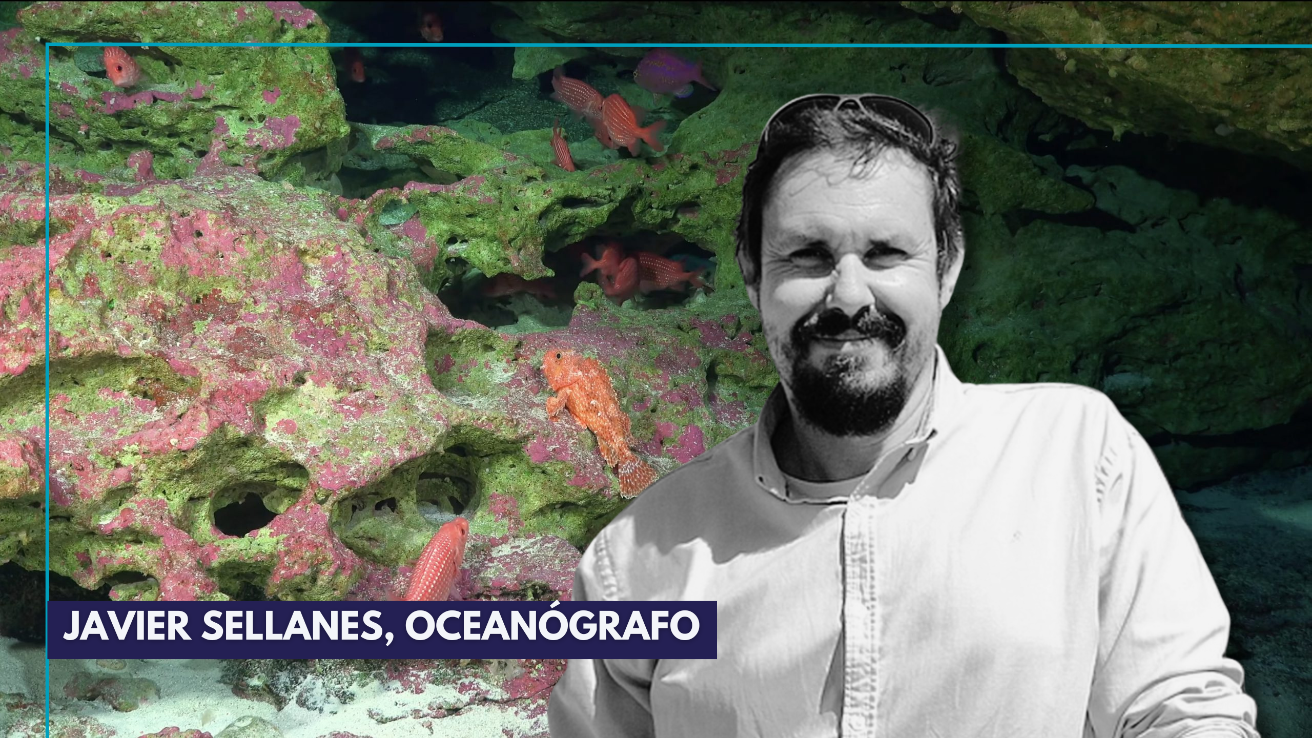 Javier Sellanes: Investigación en las montañas submarinas de Chile