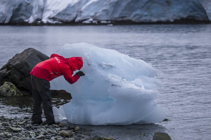 Más de 1.500 personas se reunirán en Chile para el mayor evento de ciencia antártica