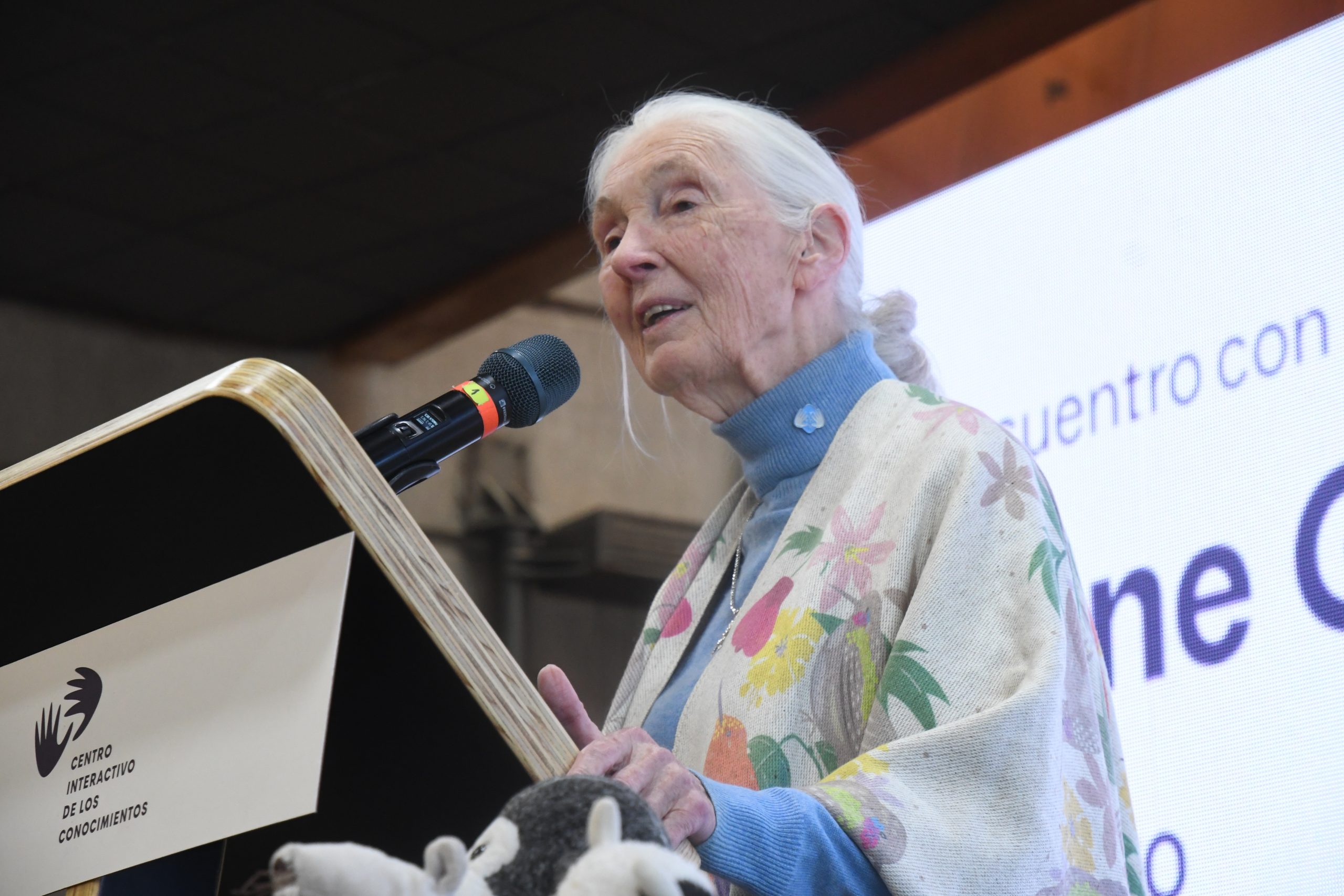 Jane Goodall recordó sus inicios en la etología desde el MIM