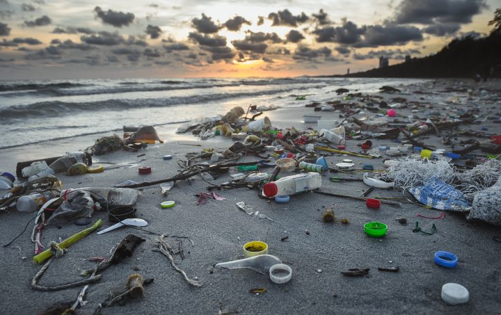 Capacitan a estudiantes para medir la contaminación en playas