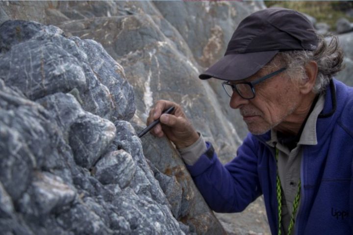 Postulan a Premio Nacional de Ciencias Naturales al descubridor del Chilesaurus