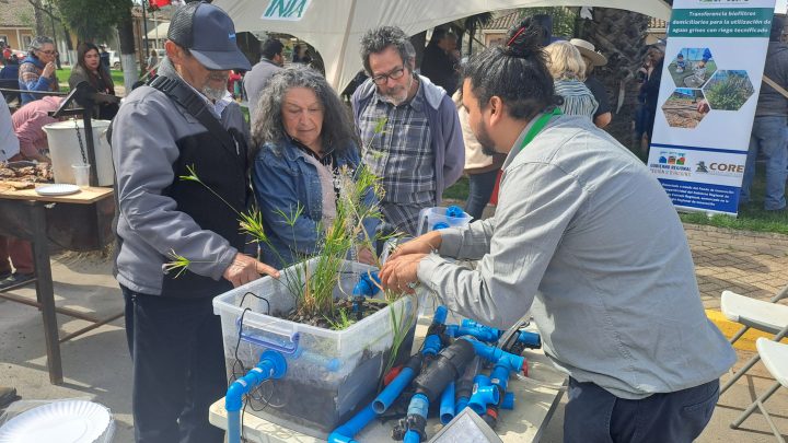 Tecnología permitirá reutilizar el agua de los hogares para la pequeña agricultura