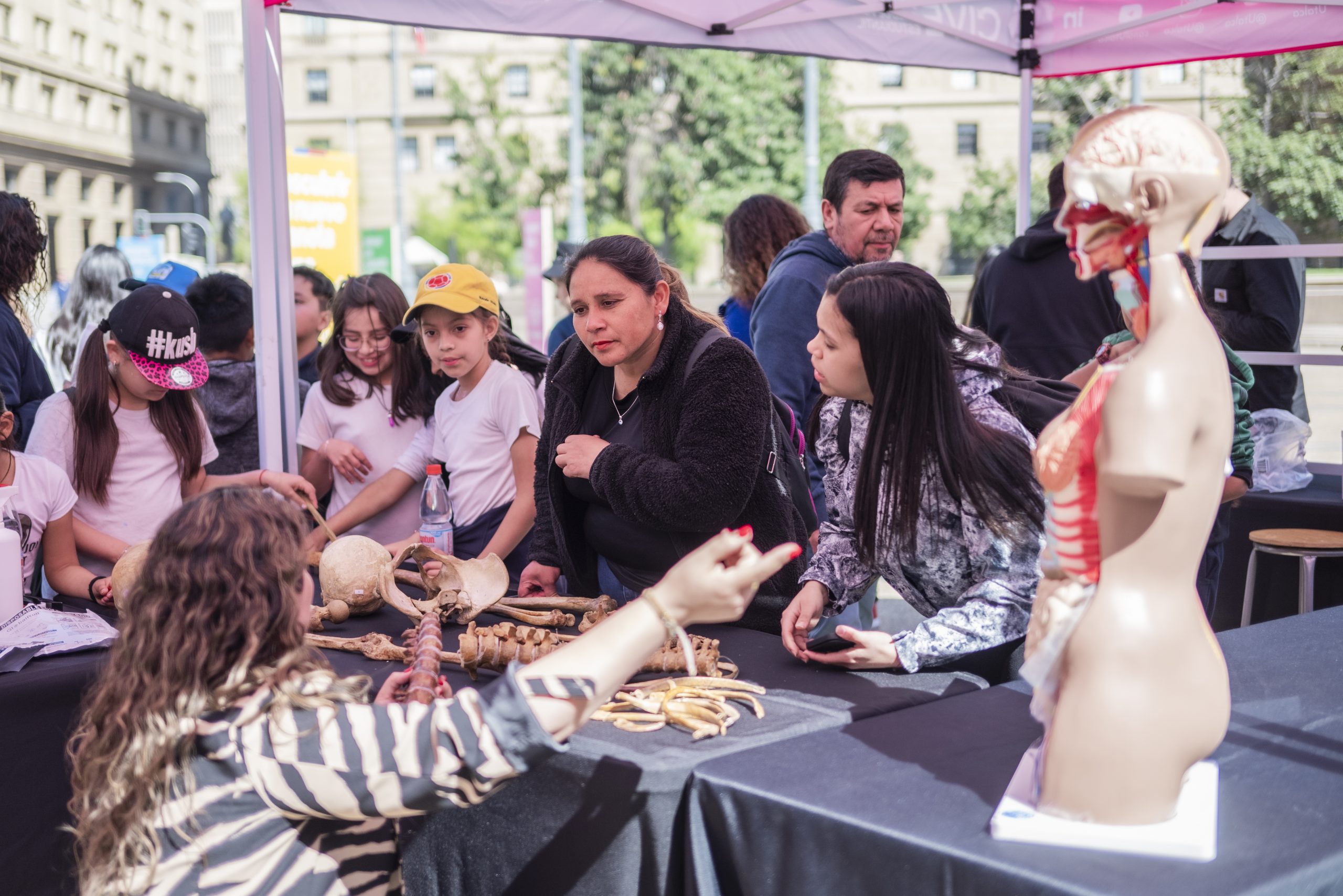 Festival de las Ciencias ofrecerá más de 280 actividades gratuitas en todo el país