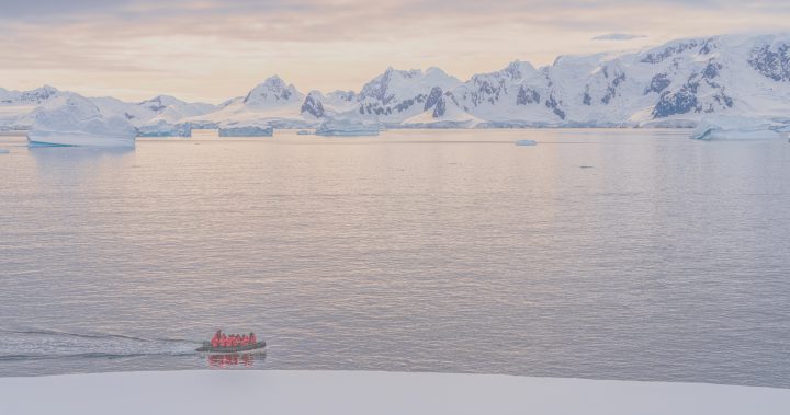 Proyecto busca impulsar el primer cable submarino de fibra óptica a la Antártica chilena