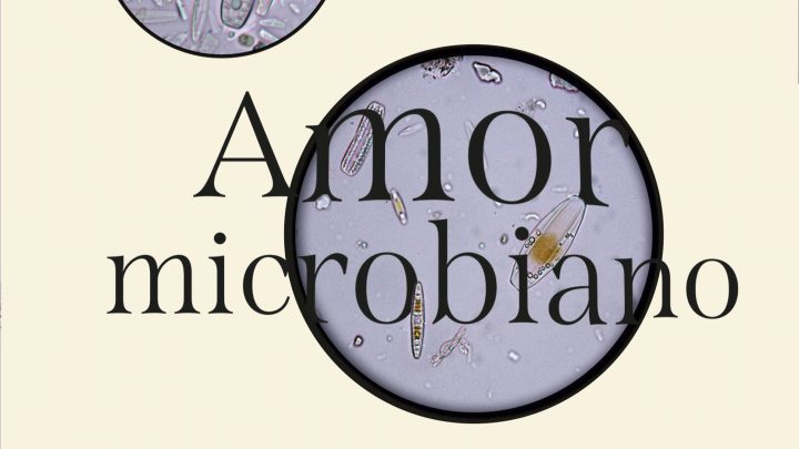 Amor microbiano: El nuevo libro sobre los sentimientos vistos desde el microscopio