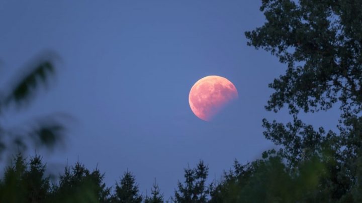 Fiestas patrias con eclipse lunar: fenómeno será visible en todo el país