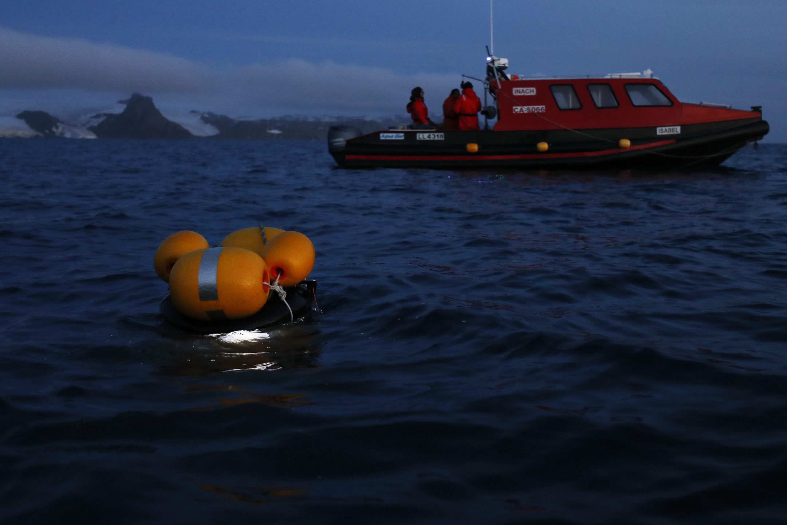 El viento puede afectar el tamaño de los peces que habitan en la Antártica