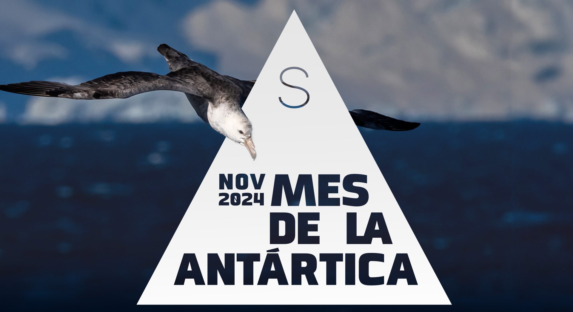 Comienza el Mes de la Antártica con actividades en todo Chile