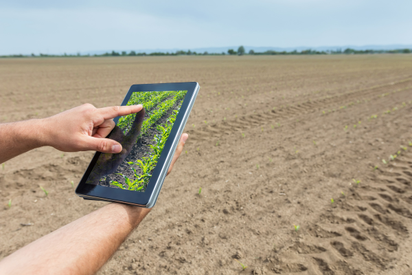 Señales inalámbricas para mejorar la agricultura inteligente