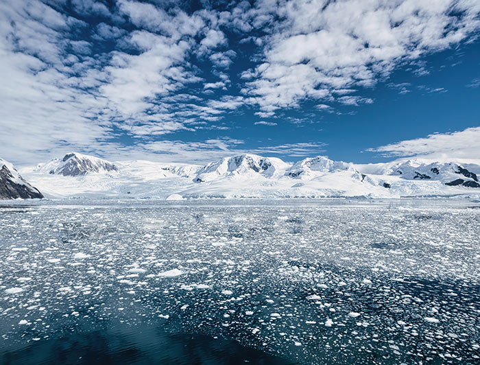 Virus gigantes con superpoderes para resistir temperaturas muy frías