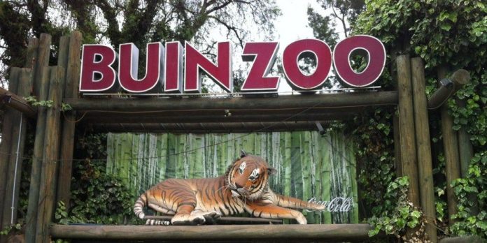 Buin Zoo evoluciona a bioparque: Hacia un nuevo concepto de conservación