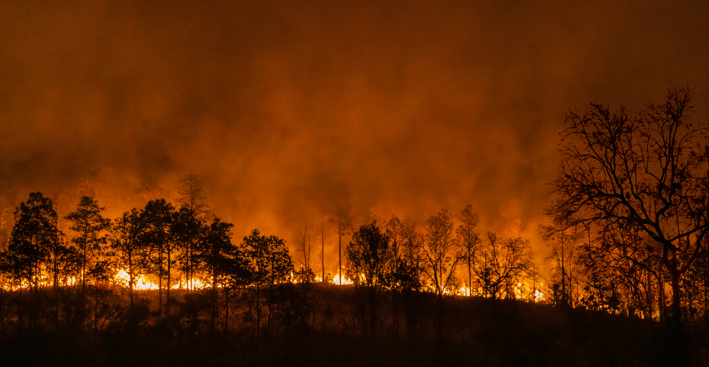 Estudio revela aumento de sequía y temperaturas en Sudamérica