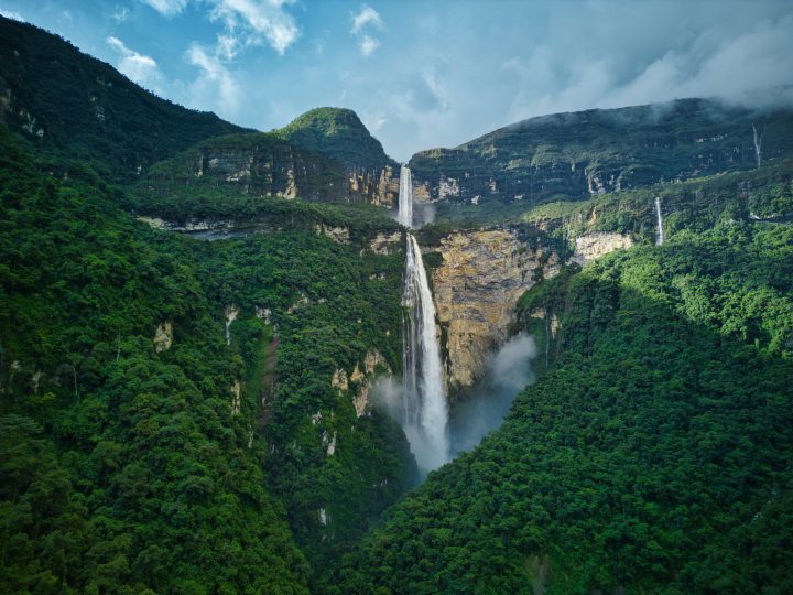 Este lunes arranca la COP16: Lo que debes saber de la cumbre sobre la Biodiversidad