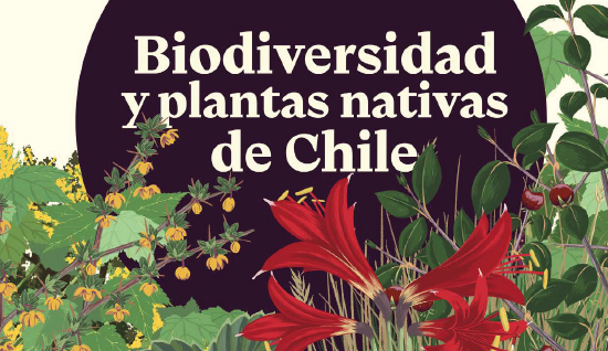 Libro y juego sobre plantas nativas de Chile llegarán a bibliotecas públicas de Chile