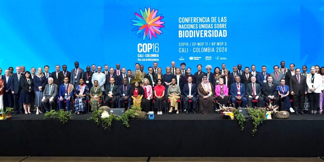 COP16 cierra sin consensos en financiación para proteger la biodiversidad