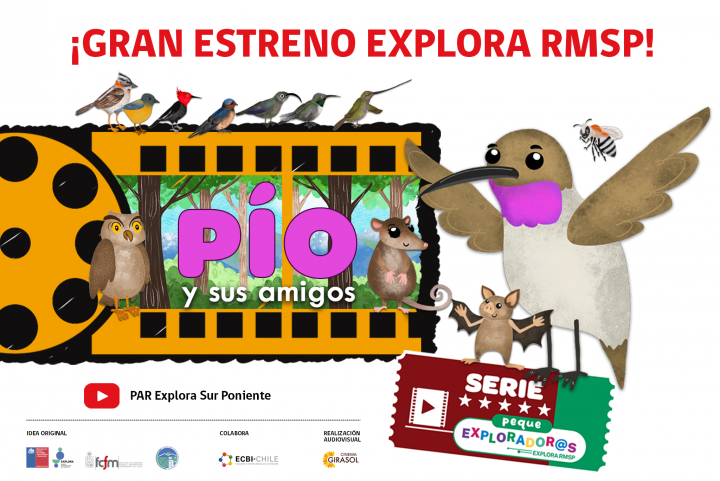 “Pío y sus amigos”: Una serie animada para niños y niñas sobre la naturaleza