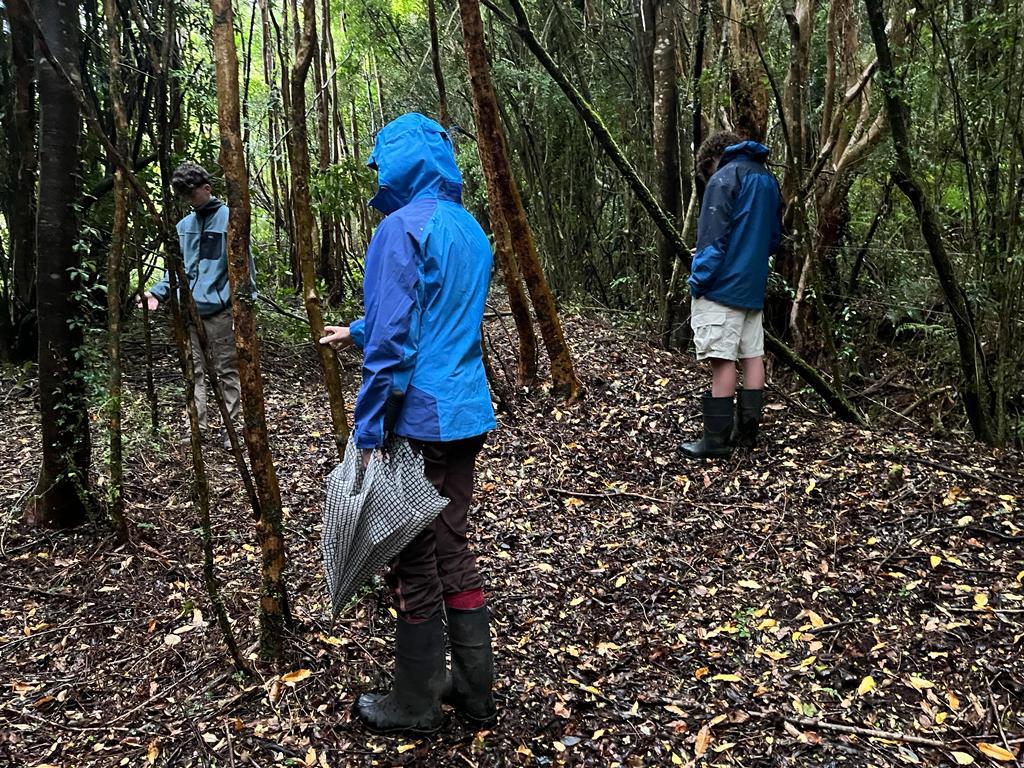 Inauguran la primera Asociación de Guías de Baños de Bosque en Chile