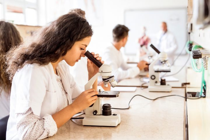 Estudiantes chilenos y extranjeros presentarán proyectos científicos en ExpoCiencias